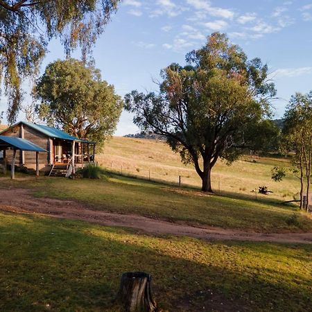 Gaddleen Grove Cottages Wodonga Zewnętrze zdjęcie