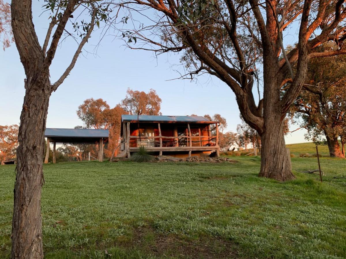 Gaddleen Grove Cottages Wodonga Zewnętrze zdjęcie