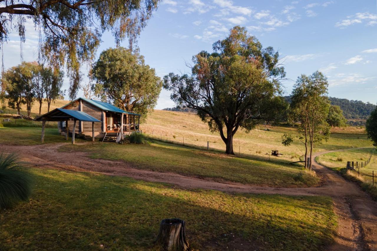 Gaddleen Grove Cottages Wodonga Zewnętrze zdjęcie