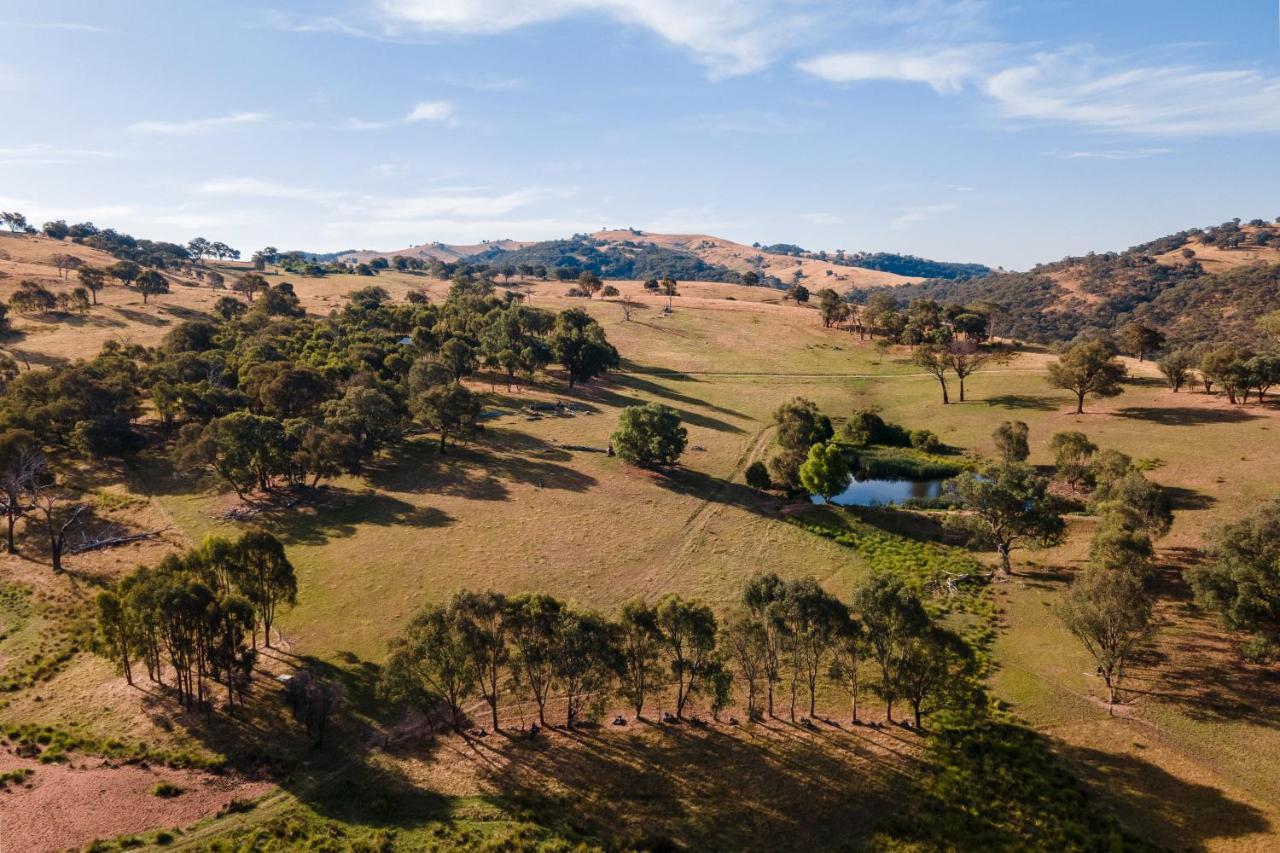 Gaddleen Grove Cottages Wodonga Zewnętrze zdjęcie