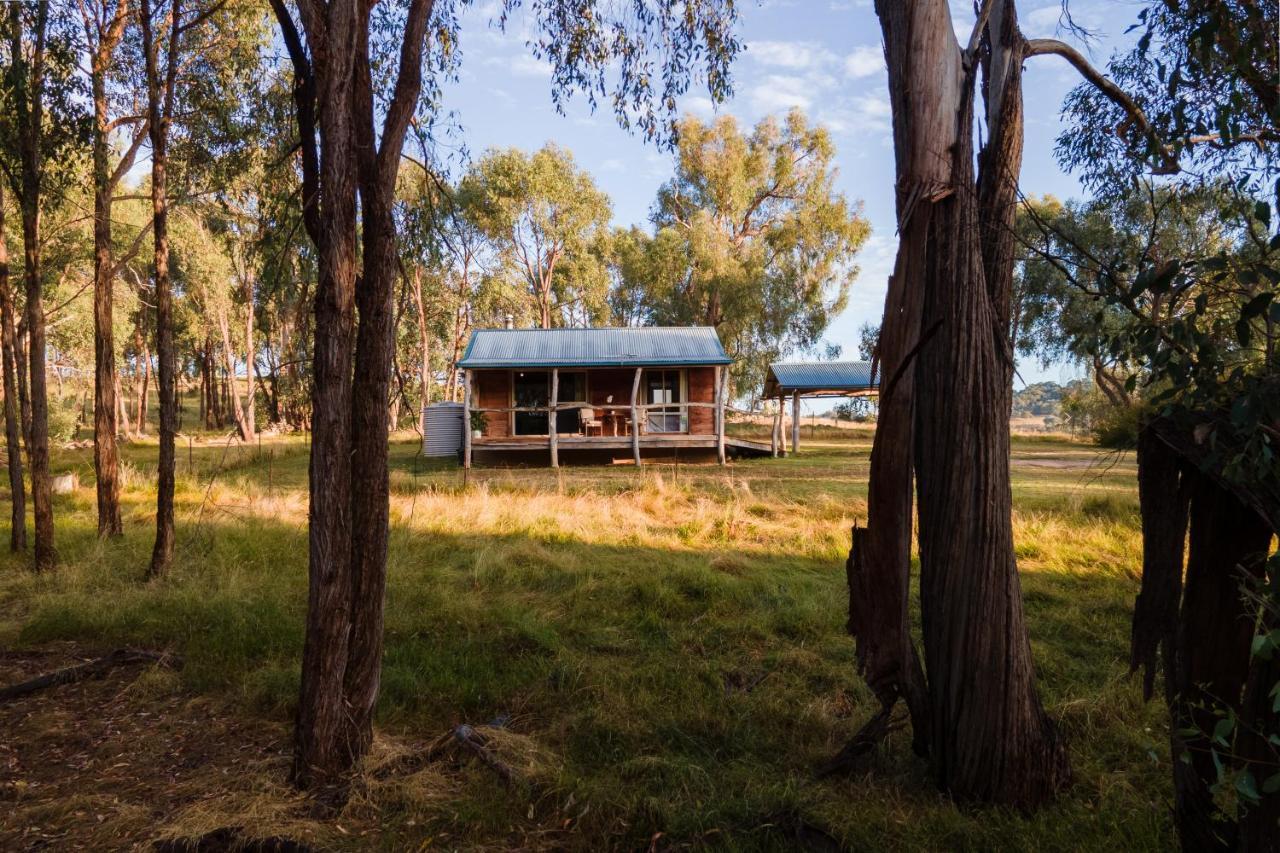 Gaddleen Grove Cottages Wodonga Zewnętrze zdjęcie