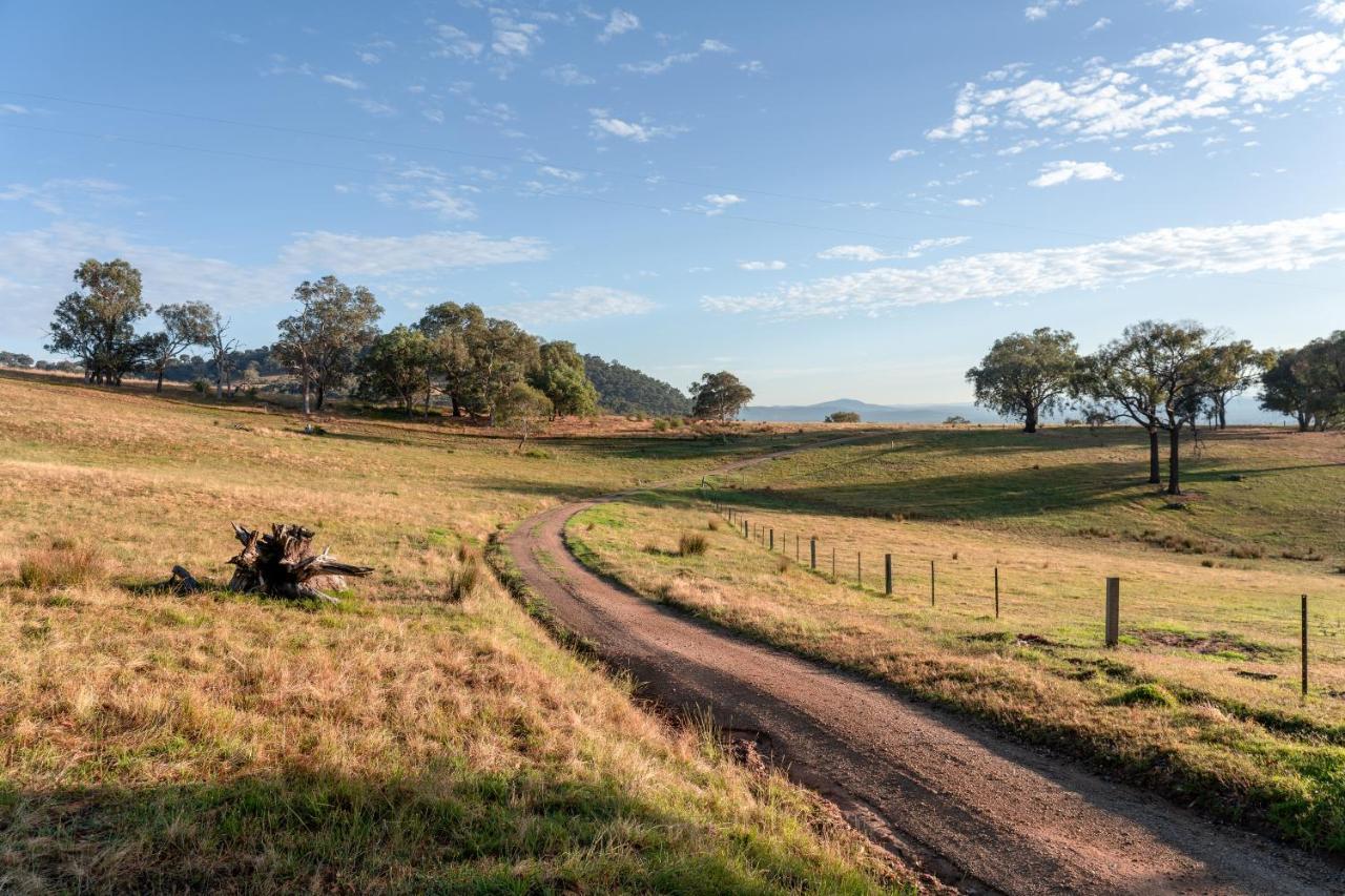 Gaddleen Grove Cottages Wodonga Zewnętrze zdjęcie